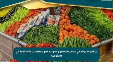 ارتفاع ملحوظ في سعر الخضار والفواكه اليوم السبت 16-8-2025 في المنوفية